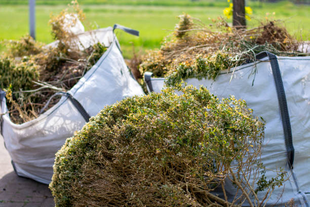 Household Junk Removal in Tremont, PA