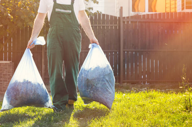 Best Dumpster Rental Services  in Tremont, PA