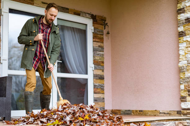 Basement Cleanout Services in Tremont, PA